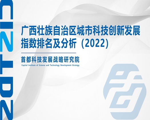 美女靠逼操逼摸逼网站【成果发布】广西壮族自治区城市科技创新发展指数排名及分析（2022）